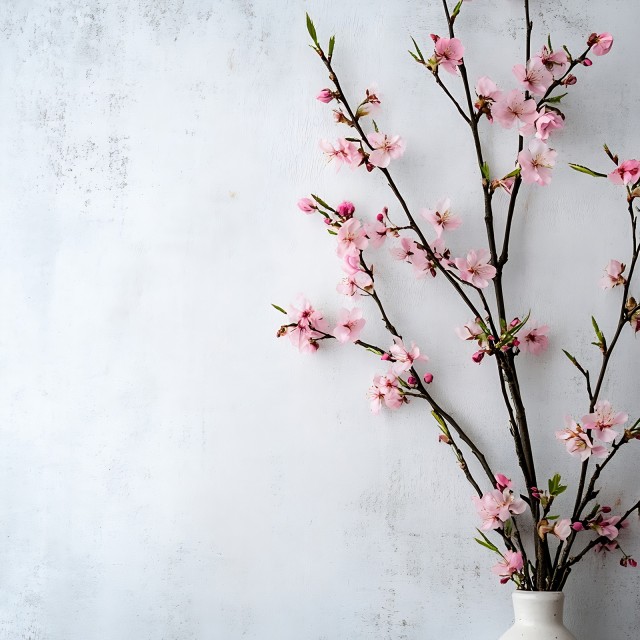 雛人形と桃の節句｜なぜ3月3日？五節句の由来と行事食をやさしく解説